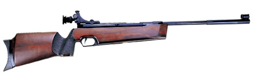 Esta pistola, Match Gun SS2, de SAG ¿No os recuerda a una Feinkwerkbau 80?
Incluso indica que tiene sistema 10