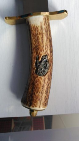 Se vende cuchillo de remate Muela Magnum hoja de 24cm, mango de asta de ciervo con grabado de jabalí, 01