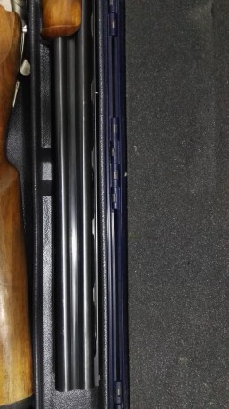 Un compañero del club vende está magnífica escopeta
Beretta superpuestas 686E por dejar la práctica de 12