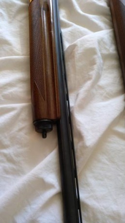 Hola compañeros

En venta escopeta semiautomática calibre 28, cañon de 66cm, 4 polichokes, casi nueva. 00