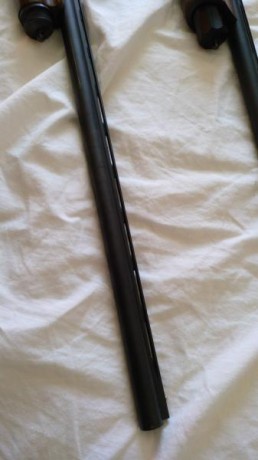Hola compañeros

En venta escopeta semiautomática calibre 28, cañon de 66cm, 4 polichokes, casi nueva. 12