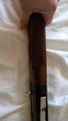 Hola compañeros

En venta escopeta semiautomática calibre 28, cañon de 66cm, 4 polichokes, casi nueva. 22