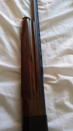 Hola compañeros

En venta escopeta semiautomática calibre 28, cañon de 66cm, 4 polichokes, casi nueva. 20