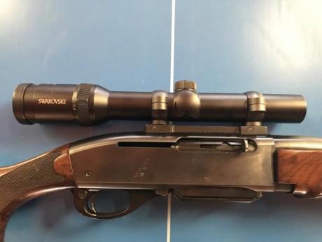 Vendo Remington 750 en cal. 35 whelen con monturas leupold QR y visor Swarovski 1,25-4X24, todo como nuevo, 00