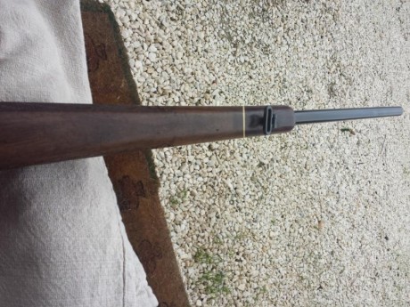 Buenos dias a todos , un amigo me ha pedido que le ponga a la venta a su ojito derecho , se trata de un 32