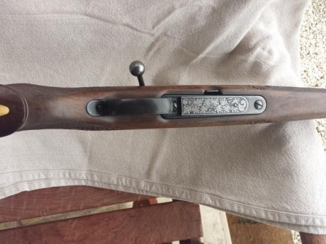 Buenos dias a todos , un amigo me ha pedido que le ponga a la venta a su ojito derecho , se trata de un 31