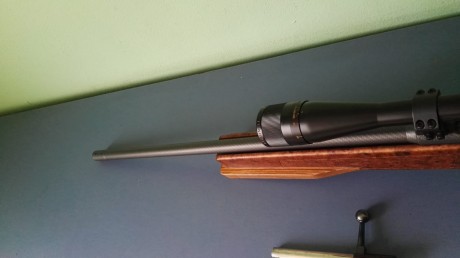 Vendo las siguientes armas por tanta cantidad de armas que tengo primera carabina calibre 22 Anschutz 00