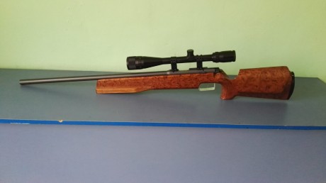 Vendo las siguientes armas por tanta cantidad de armas que tengo primera carabina calibre 22 Anschutz 21