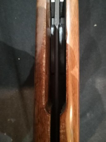 Buenas, vendo una Fenix 400 en 5,5. Su estado general es bueno, y no creo que tenga 500 balines disparados.

 00