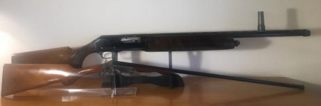 Vendo duo de escopetas en dos calibres.
-  FABARM   semiautomatica con polichoque.
, calibre 12/70
-  02