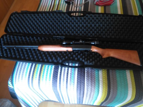 Vendo Remington 552 speedmaster en perfecto estado de funcionamiento y conservación.
Calibre 22, acepta 10