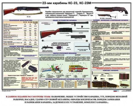 no se si alguien conoce este arma de primera mano,solo por curiosidad,este arma en españa tiene que estar 10