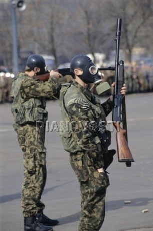 no se si alguien conoce este arma de primera mano,solo por curiosidad,este arma en españa tiene que estar 41