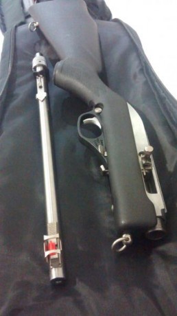 Buenos días se vende carabina Marlin papoose calibre 22 en acabado inoxidable con unos cien disparos cuando 02