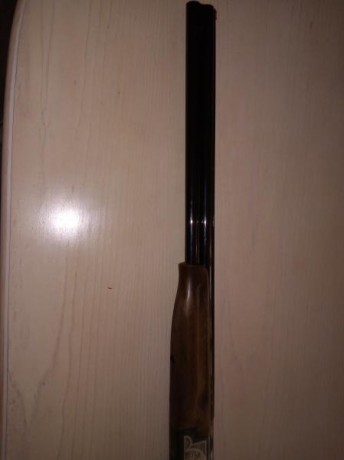 Cambio equipo de rececho compuesto de Rifle Winchester 70 en calibre 270w con visor Bushnell Elite 3200 61