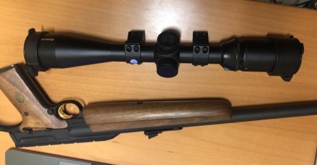 Vendo Carabina Browning calibre 22 LR semiautomática con poquísimo uso. Agrupaciones muy buenas y carabina 02