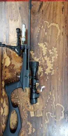 STINGER ARES CO2 PISTOL/CARBINE .22

                                                     “Fiel compañera 10