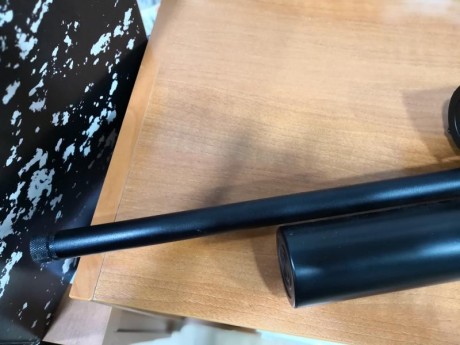 VENDO POR FALTA DE USO CARABINA DAYSTATE MTC MADERA 5.5. APENAS USADA. CON ESTUCHE PLASTICO. 2 CARGADORES. 01