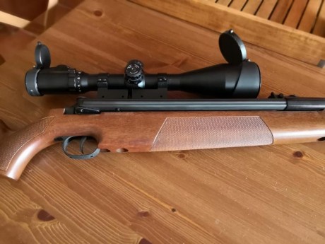 VENDO POR FALTA DE USO TODAS MIS CARABINAS: DIANA AIRKING 54, CALIBRE 5.5. ESTADO IMPECABLE. NO USADA. 02