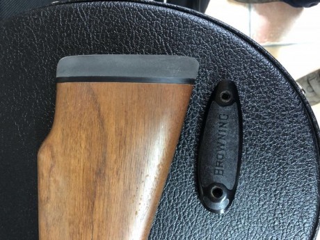 Vendo Carabina Browning calibre 22 LR semiautomática con poquísimo uso. Agrupaciones muy buenas y carabina 31