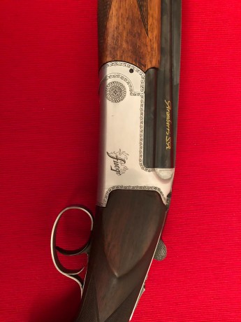 Vendo Aramberri Fuego en muy buenas condiciones y ajuste perfecto.
Cañones de 75 cm, sin chokes y a ** 01