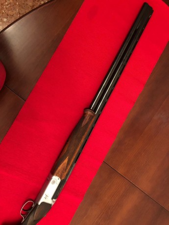 Vendo Aramberri Fuego en muy buenas condiciones y ajuste perfecto.
Cañones de 75 cm, sin chokes y a ** 12