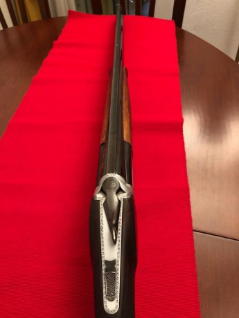 Vendo Aramberri Fuego en muy buenas condiciones y ajuste perfecto.
Cañones de 75 cm, sin chokes y a ** 11