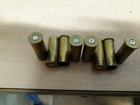 Hola, cambio vainas del 44mg con un solo disparo, por vainas del 357mg.
65 WW Super
26 Remigton 
33 RP
2 12