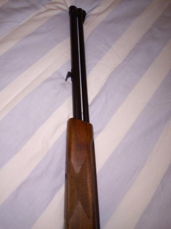 Rifle espress 110