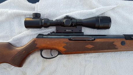 hola de nuevo,despues de leer unos articulos sobre field target,preparacion de la carabina,monturas,visor 81