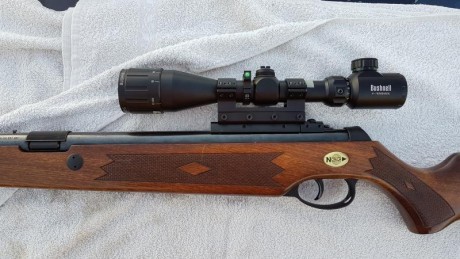hola de nuevo,despues de leer unos articulos sobre field target,preparacion de la carabina,monturas,visor 80
