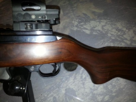 Practicamente sin usar,como se vé en las fotos.Incorpora carril original Ruger y visor holografico multirreticula.Se 01