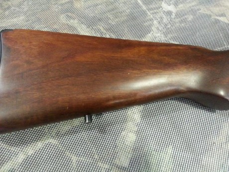 Practicamente sin usar,como se vé en las fotos.Incorpora carril original Ruger y visor holografico multirreticula.Se 00
