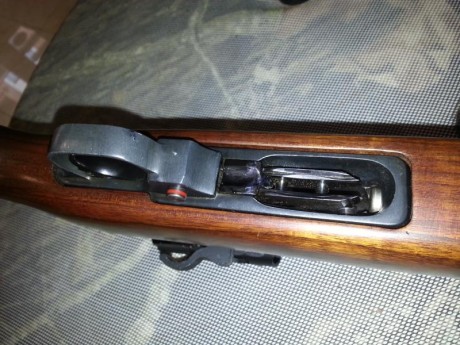 Practicamente sin usar,como se vé en las fotos.Incorpora carril original Ruger y visor holografico multirreticula.Se 21