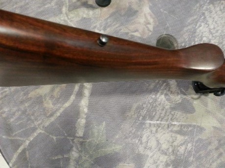Practicamente sin usar,como se vé en las fotos.Incorpora carril original Ruger y visor holografico multirreticula.Se 20