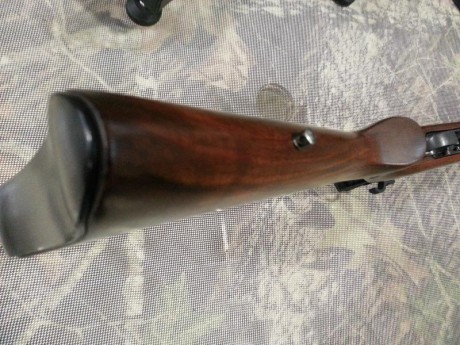 Practicamente sin usar,como se vé en las fotos.Incorpora carril original Ruger y visor holografico multirreticula.Se 30