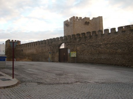  No se a vosotros, pero a mi los castillos me encantan.
Cuando paso delante de alguno no pierdo oportunidad 41