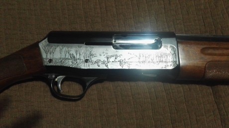 Buenas
Alguien me puede ayudar a identificar esta escopeta
Me dice que es una prestigie pero creo que 21