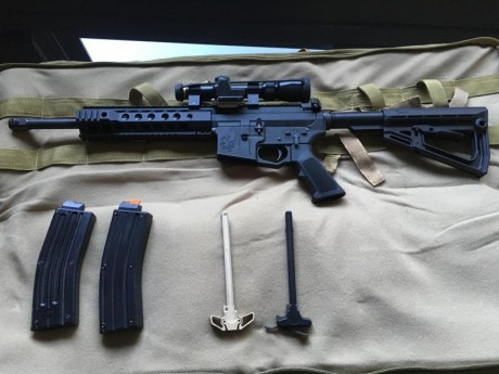 Hola compañeros, vendo carabina AR15 cal.22 de NEA full metal. Esta en perfecto estado, no ha tirado ni 00