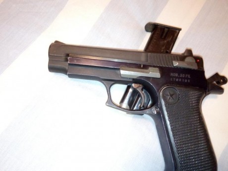 Hola. Compro la pistola de 9mm para competiciones. Glock 17 o CZ75 en buenos condiciones. Un saludo. 80