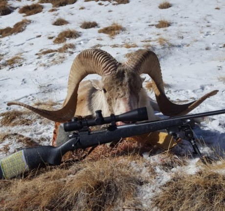 Bien pues aquí está mi Vanguard en calibre .300 WM, el visor es un pentaflex 3 - 12 X 56 IR 80