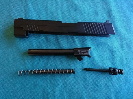 Se vende arma Sig Sauer en perfectas condiciones de uso con carril picatinny. Cuenta con dos cañones, 51