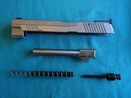 Se vende arma Sig Sauer en perfectas condiciones de uso con carril picatinny. Cuenta con dos cañones, 50