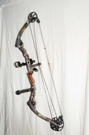 Dos, de tiro (Hoyt-Striker II) y de campo (Mathews-Ovation) en perfecto estado de uso.
Completos, con 00