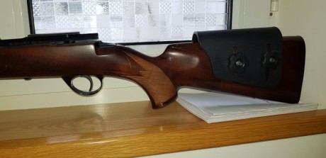  TODO VENDIDO  CARABINA ANSCHUTZ 1710 22 LR CAÑON PESADO DE ACERO INOX, CAMPEONA COPA PRESIDENTE AÑO 2017, 21