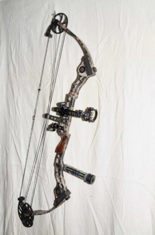 Dos, diestros, de tiro (Hoyt - Striker II) y de campo (Mathews - Ovation) en perfecto estado de uso.
Completos, 01