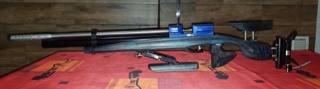 Hola, vendo estas 3 carabinas  (NO CAMBIOS)
Daystate Tsar calibre 4,5   16 julios   +   air striper Rowan 00