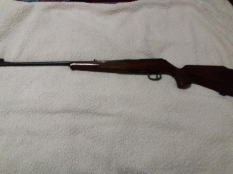 Hola, por dejar la aficion pongo a la venta las siguientes armas.

Rifle cerrojo Rover Tactical Sintético 11