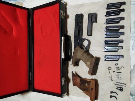 Vendo FAS 602 por no poder hacerme con ella.
El arma falla, es decir en ocasiones no expulsa la vaina, 02