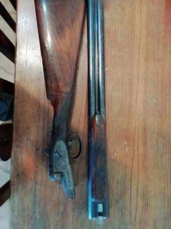 Buenos días.
No sabía en que apartado del foro escribir, si en este de colección o en de las armas de 81